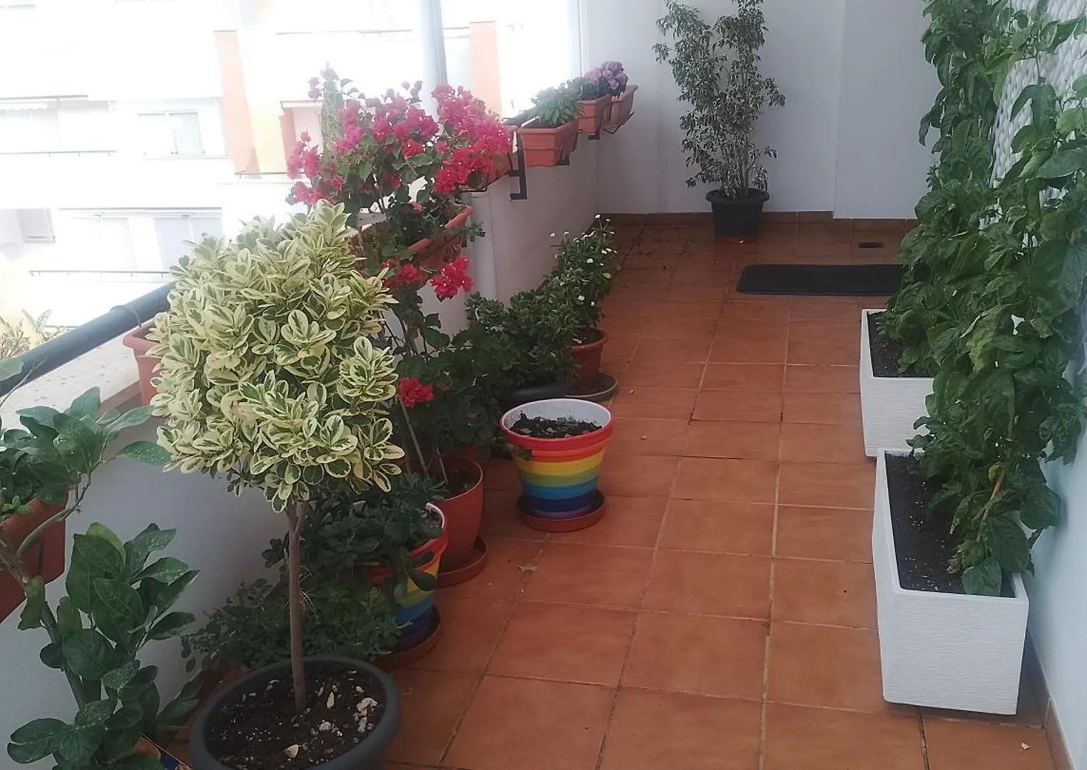 Apartmán Golf, Piscina,Playa Roquetas de Mar
