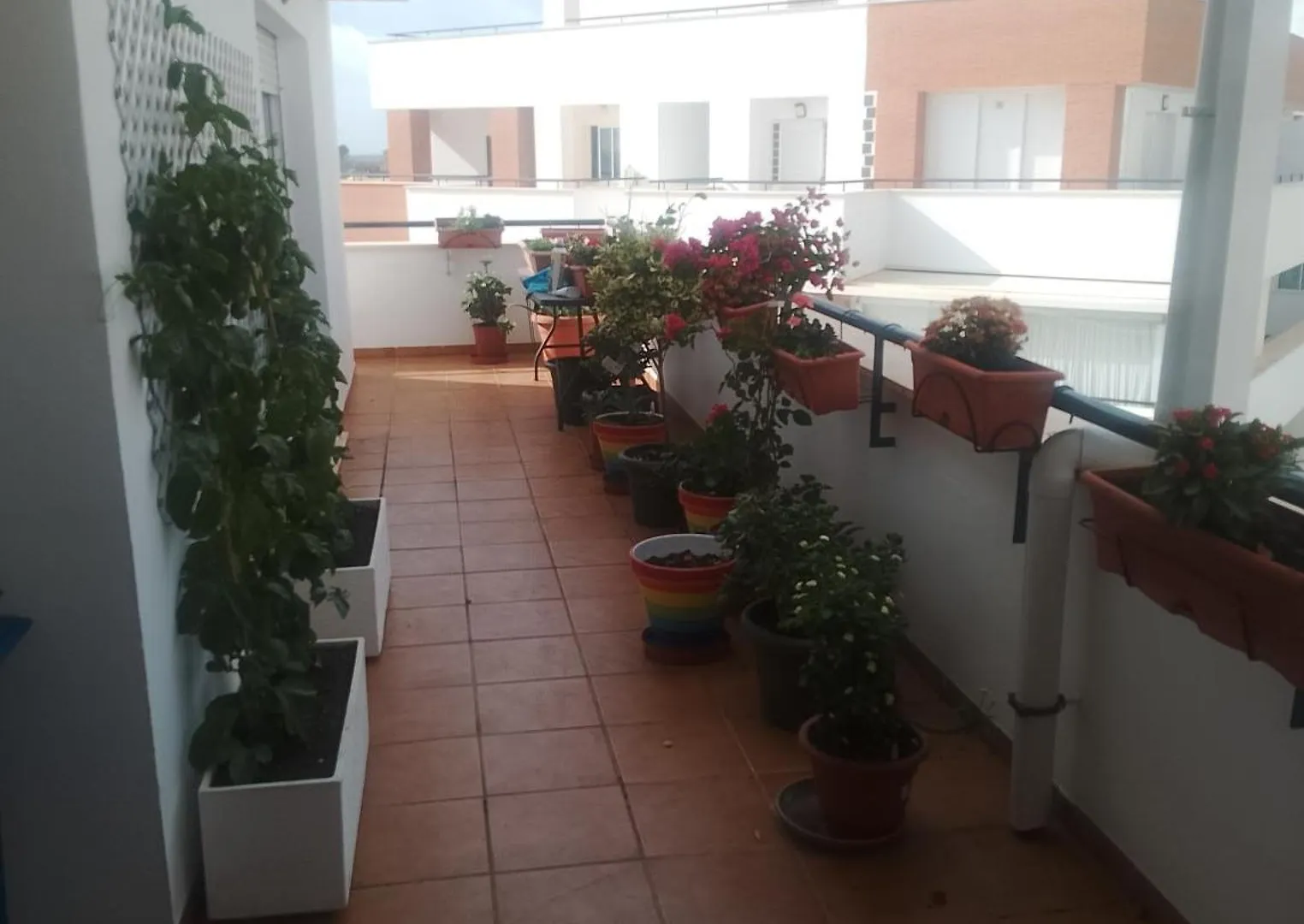 Apartmán Golf, Piscina,Playa Roquetas de Mar