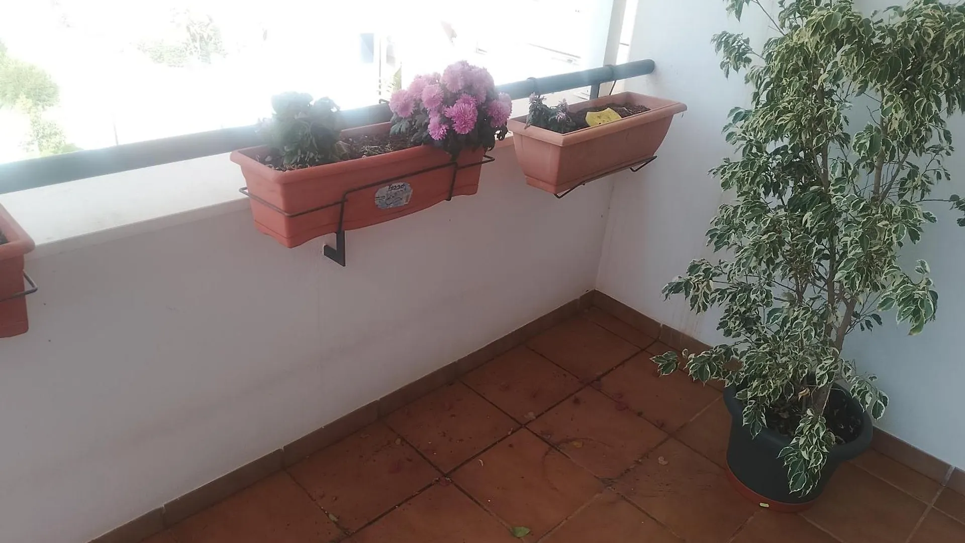 Golf, Piscina,Playa Apartment Roquetas de Mar Spain
